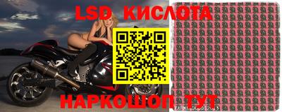 mdpv Владикавказ